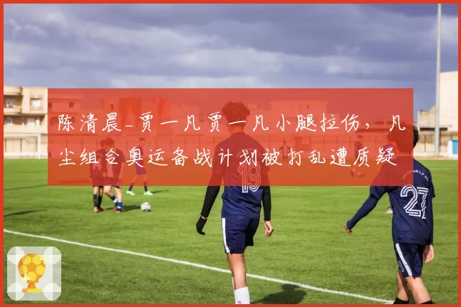 陈清晨_贾一凡贾一凡小腿拉伤，凡尘组合奥运备战计划被打乱遭质疑
