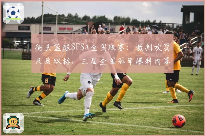 街头篮球SFSA全国联赛：裁判吹罚尺度双标，三届全国冠军爆料内幕