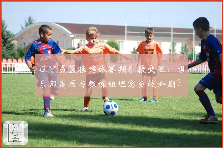 辽宁男篮杨鸣休赛期引援受阻,俱乐部高层与教练组理念分歧加剧?