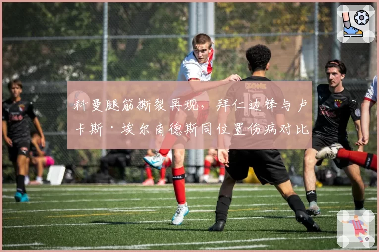 科曼腿筋撕裂再现，拜仁边锋与卢卡斯·埃尔南德斯同位置伤病对比恢复慢两周