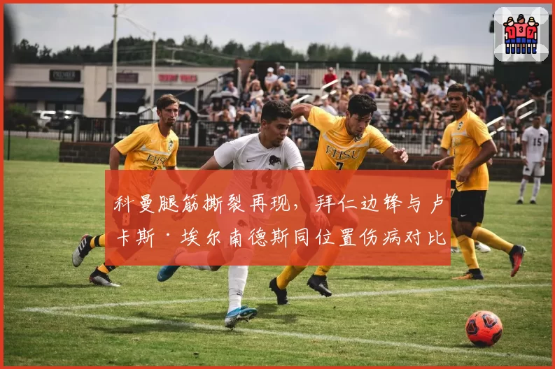 科曼腿筋撕裂再现，拜仁边锋与卢卡斯·埃尔南德斯同位置伤病对比恢复慢两周